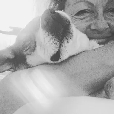 Couette-café Chateau De Cours